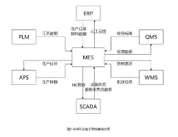 德约科维奇胜负手细节曝光(德约科维奇一发制胜)
